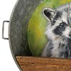 Shelf - Raccoon - 8.50" Diameter x 3" - Metal, Wood, Paper