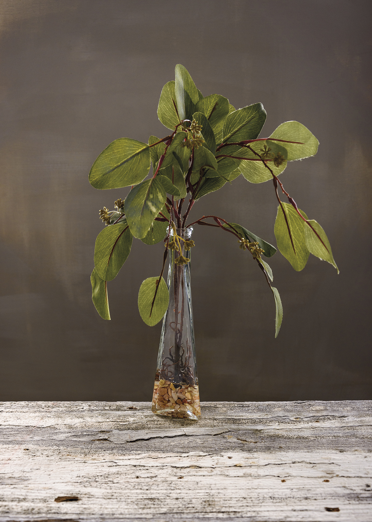 Eucalyptus Branch Vase Primitives By Kathy