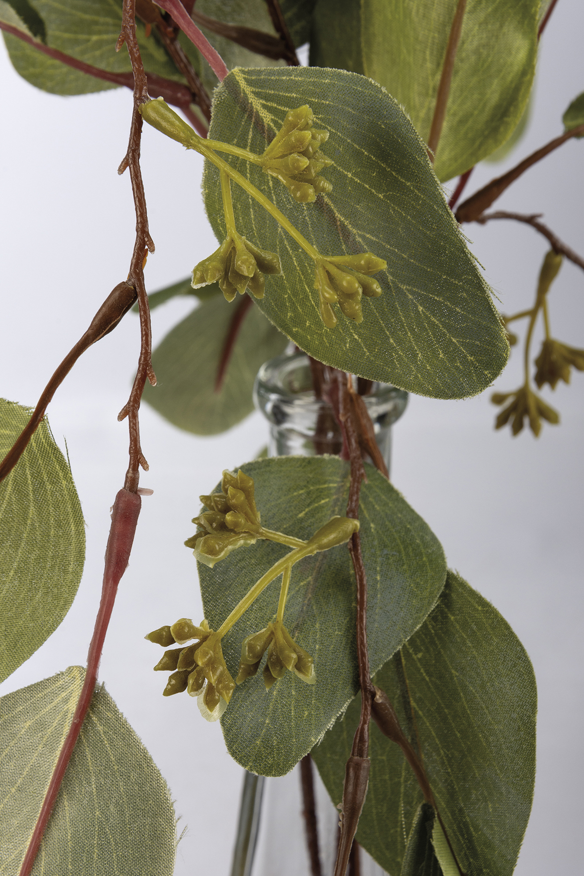 Eucalyptus Branch Vase Primitives By Kathy