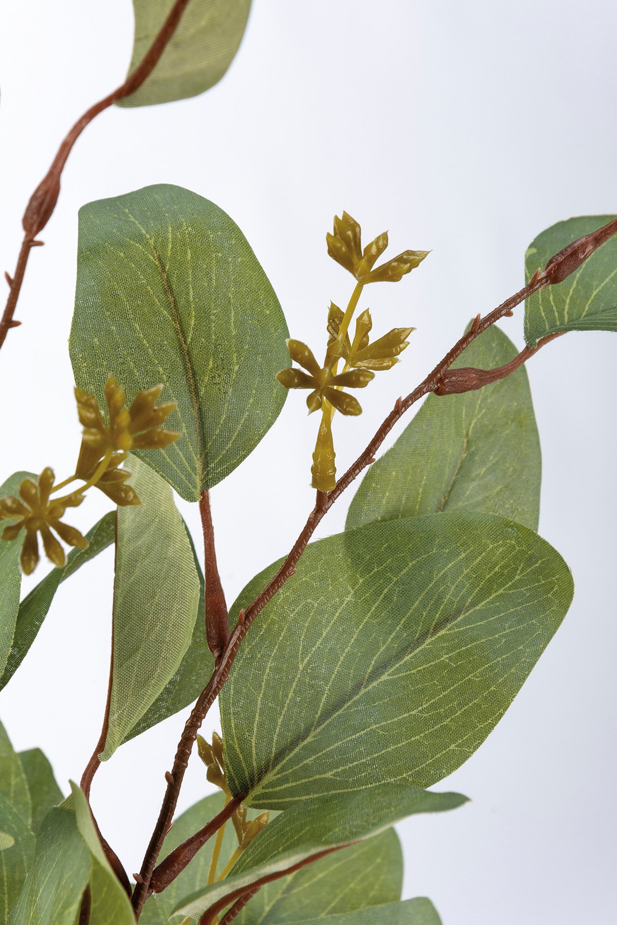 Eucalyptus Branch Vase Primitives By Kathy