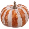 Fall Mix Pumpkin Set - Plastic