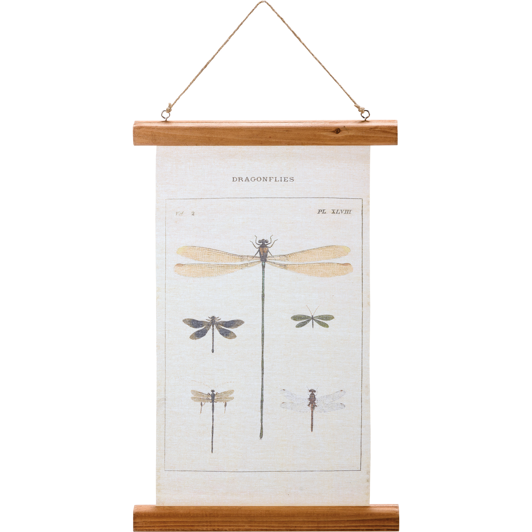Dragonflies Wall Decor Primitives By Kathy