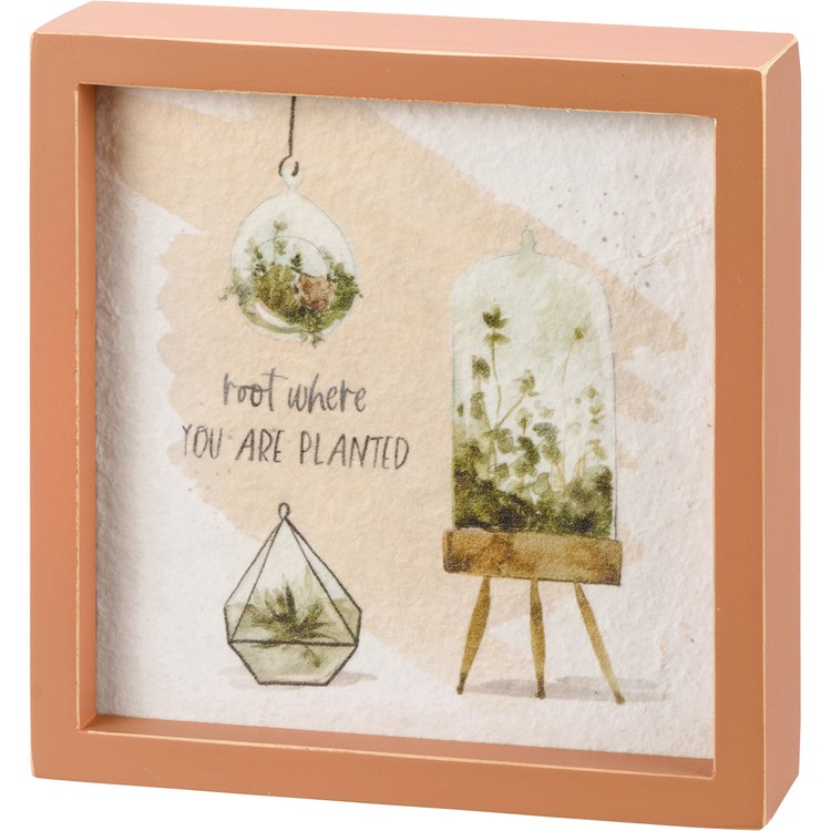 Root Where You Are Planted Inset Box Sign - Wood, Paper