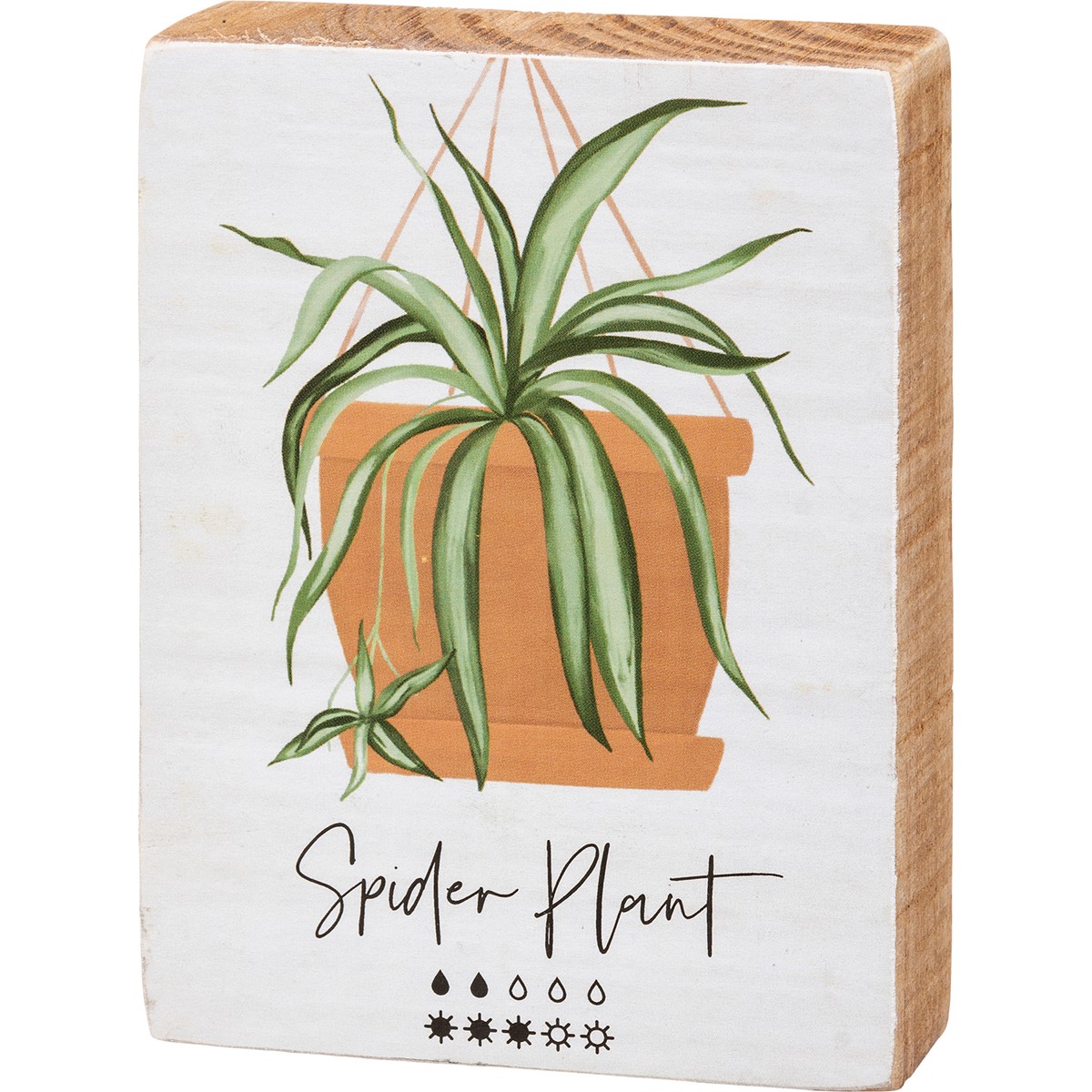 Block Sign - Spider Plant - 3" x 4" x 1" - Wood, Paper