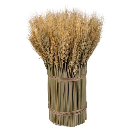 Bouquet - Sm Wheat Bundle - 10.50" Tall - Natural Foliage, Wire, Feathers