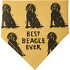 Beagle/Love My Human Large Pet Bandana - Cotton