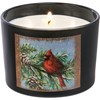Cardinal Jar Candle - Soy Wax, Glass, Cotton