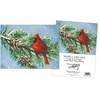 Winter Cardinal Note Card Set - Paper