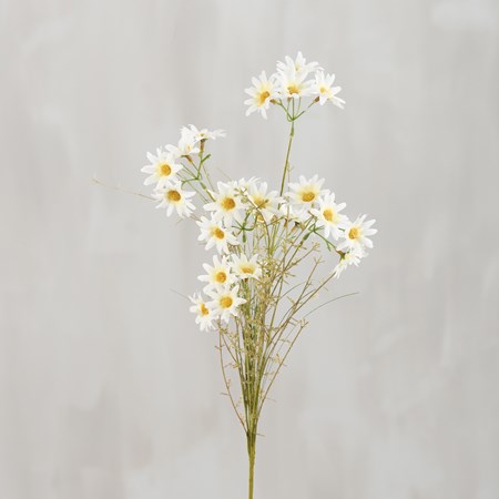 Pick - Daisies - 24" Tall - Plastic, Wire
