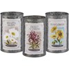 Flower Seed Packets Planter Set - Metal, Paper