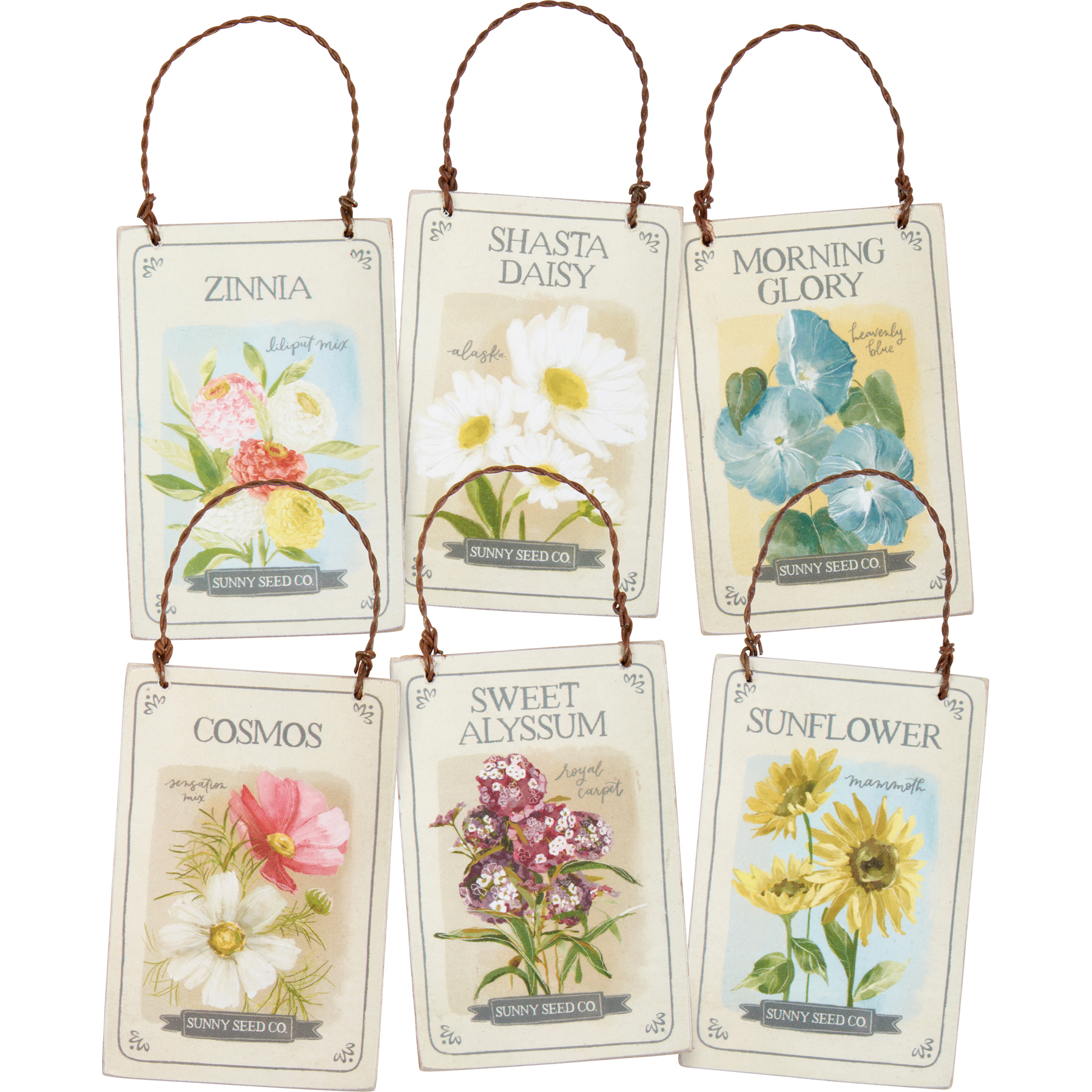 Vintage Flower Seed Packets ZINNIA, ASTERS, FOUR-O-CLOCKS Gurney
