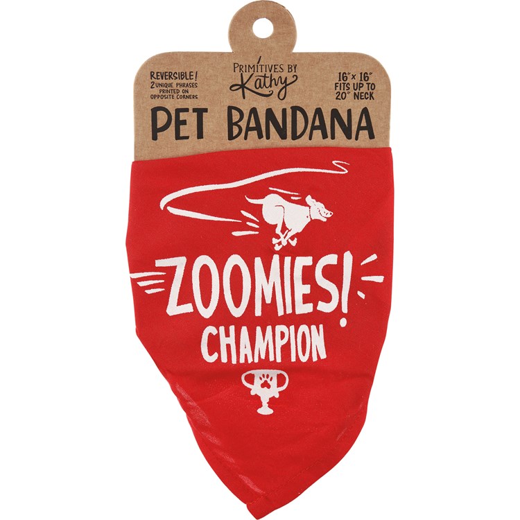 Zoomies/Parents Small Pet Bandana - Rayon