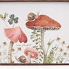 Mushroom Study Bin Set - Metal, Paper
