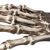 Skeleton Hand Stake - Wood