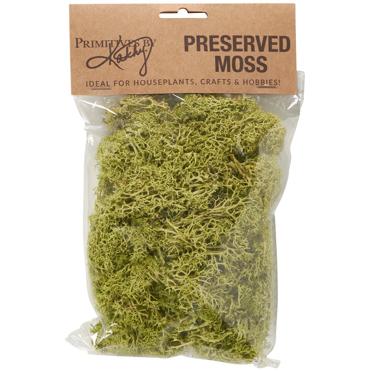 Moss Filler - Preserved Moss