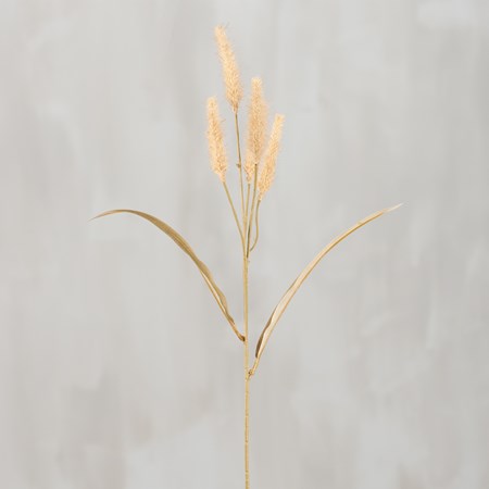 Dogtail Grass Pick - Plastic, Wire