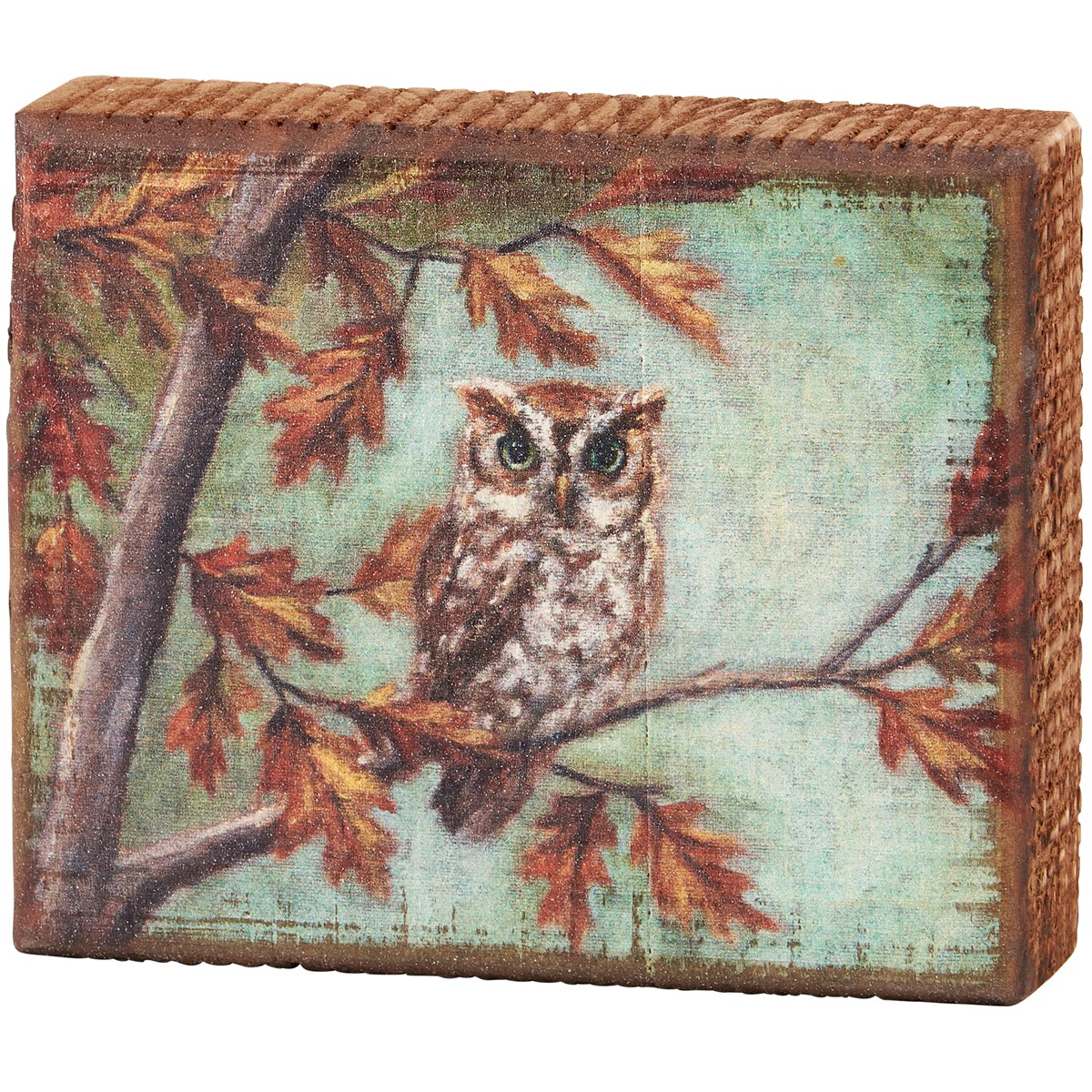 Fall Owl Block Sign - Wood