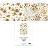 Fall Days Note Card Set - Paper