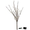 Willow Twig - 60L Small - 19.75" Tall, 60 Lights, 16' Cord, 1 Stem - Wire, Plastic, Cord