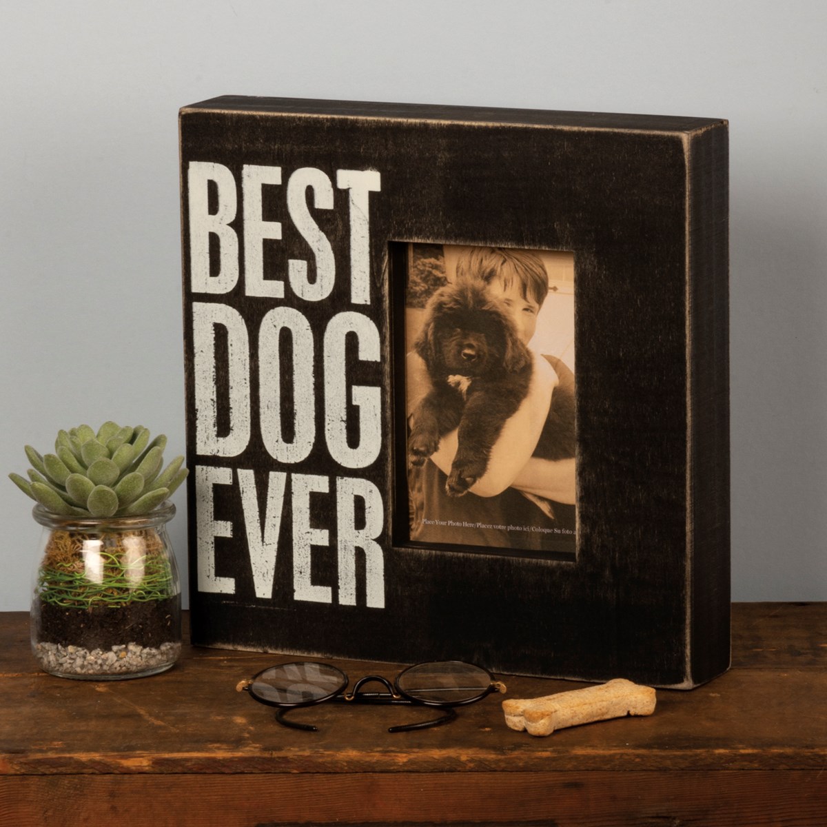 Best Dog Ever Box Frame - Wood, Glass