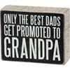 Promoted To Grandpa Box Sign - Wood, Paper