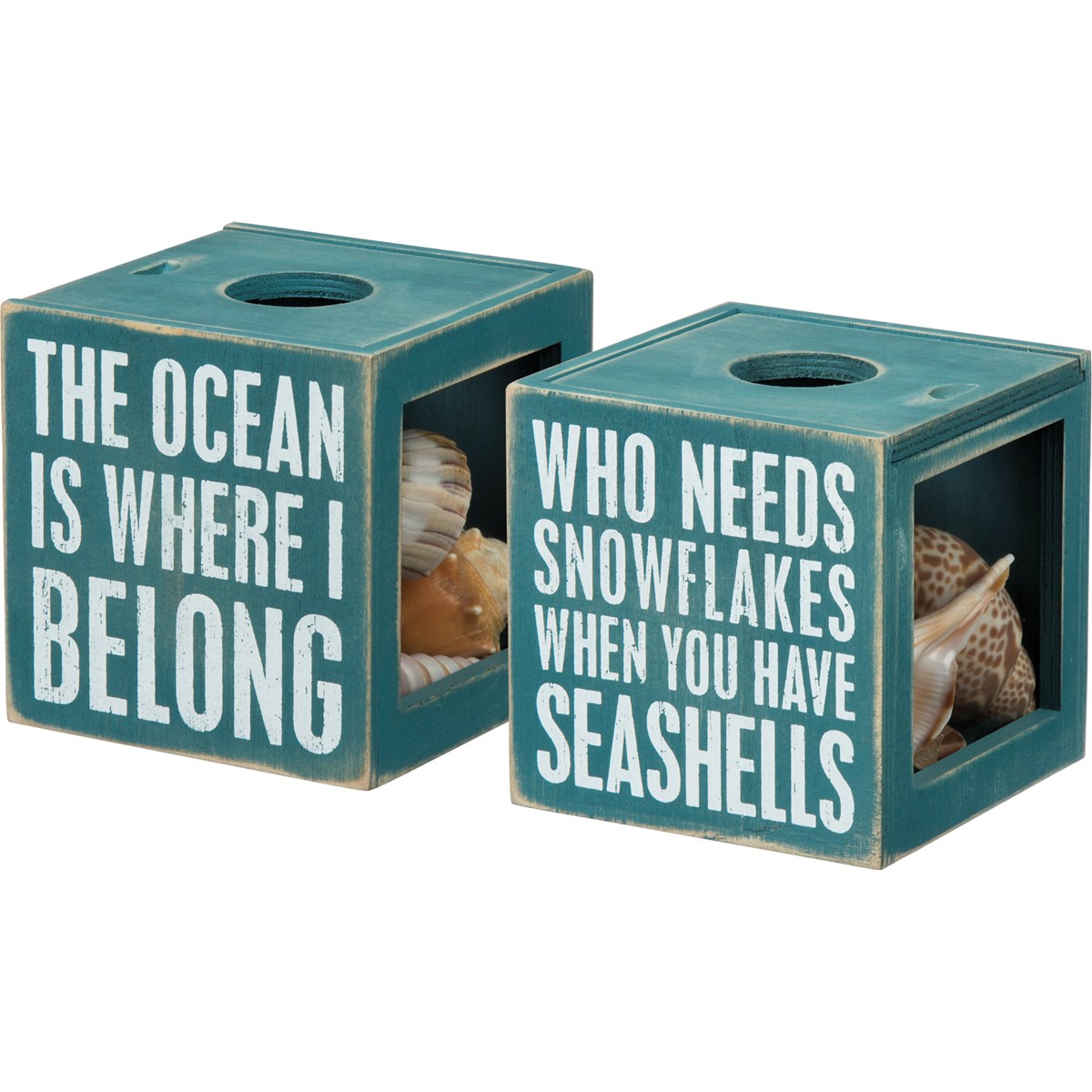 Shell Holder - The Ocean Is Where I Belong - 4.25" x 4.25" x 4.25" - Wood, Glass