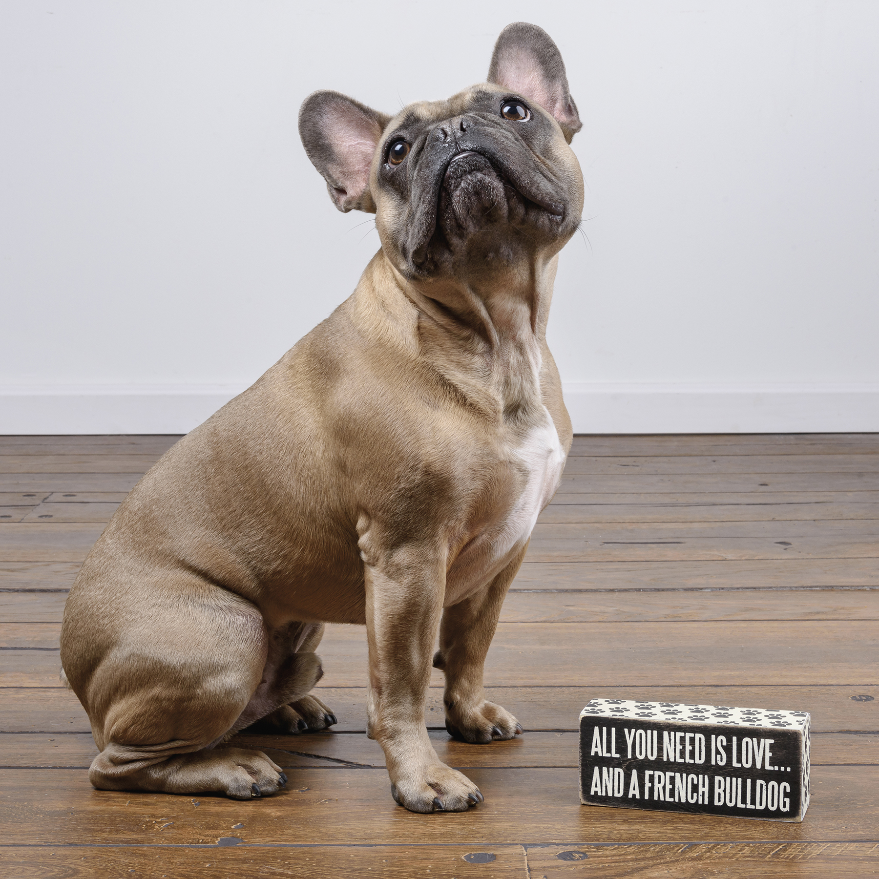 2.5-Inch by 6-Inch Primitives by Kathy Paw Print Trimmed Box Sign Bulldog