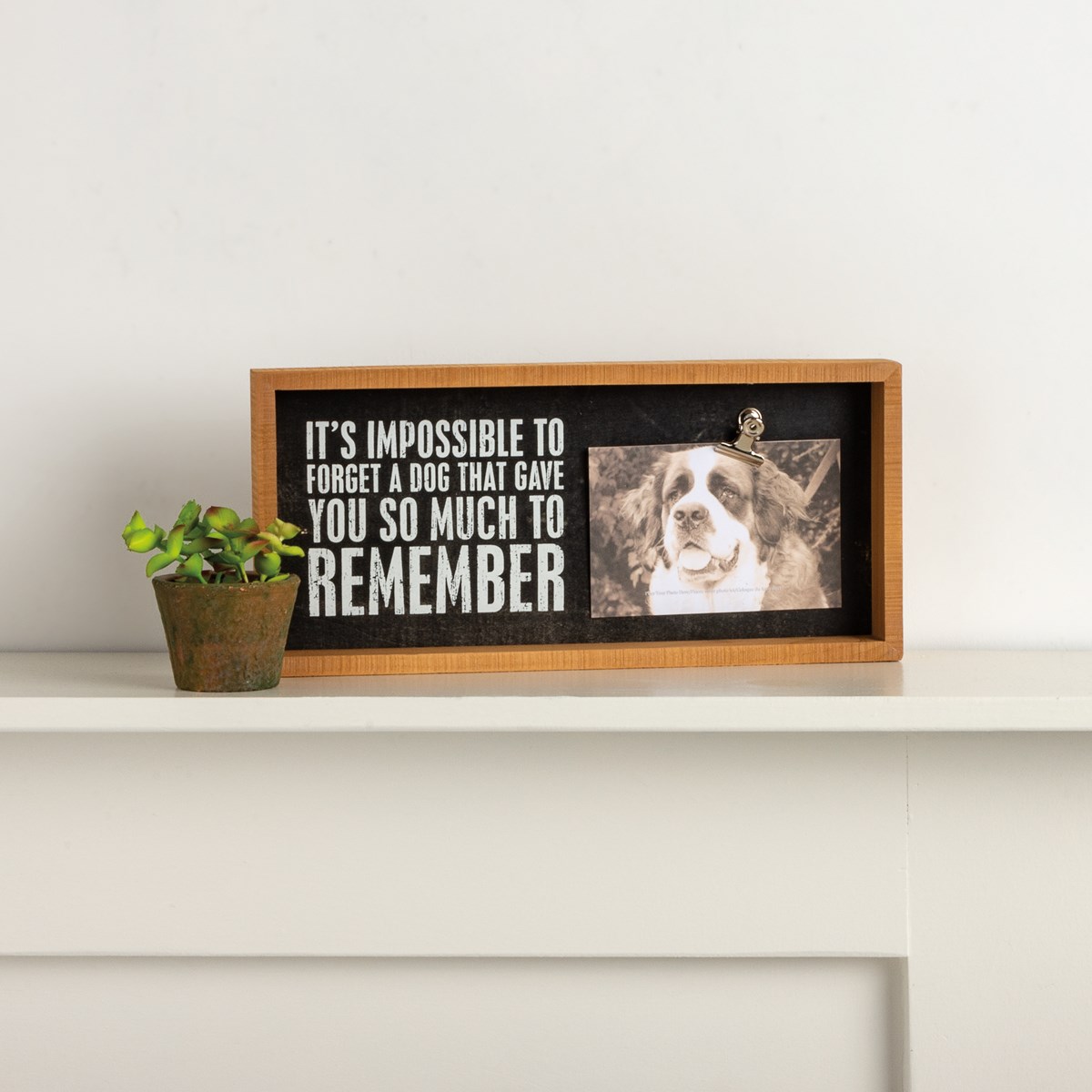 It's Impossible To Forget A Dog Inset Box Frame - Wood, Metal