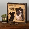 Inset Box Frame - Forever In My Heart - 10" x 10" x 2", Fits 4" x 6" Photo - Wood, Paper, Metal