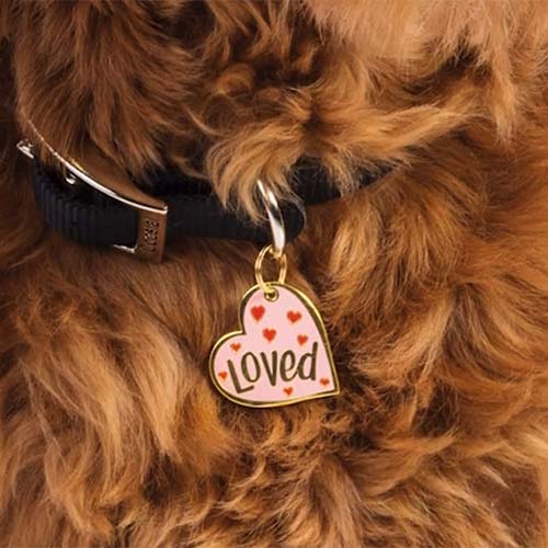 LOL Made You Smile Pet Charms Collection by Johnny